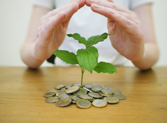 beginner passive income